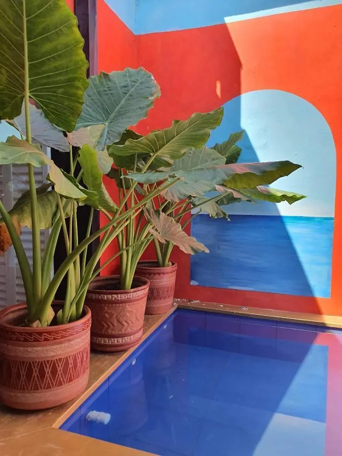 Affittacamere Birds Hostel Cartagena Colombia