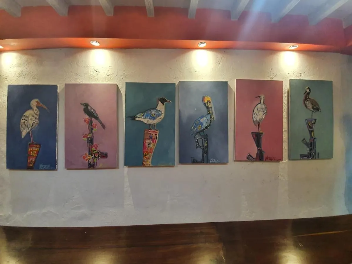 Birds Hostel Cartagena Affittacamere